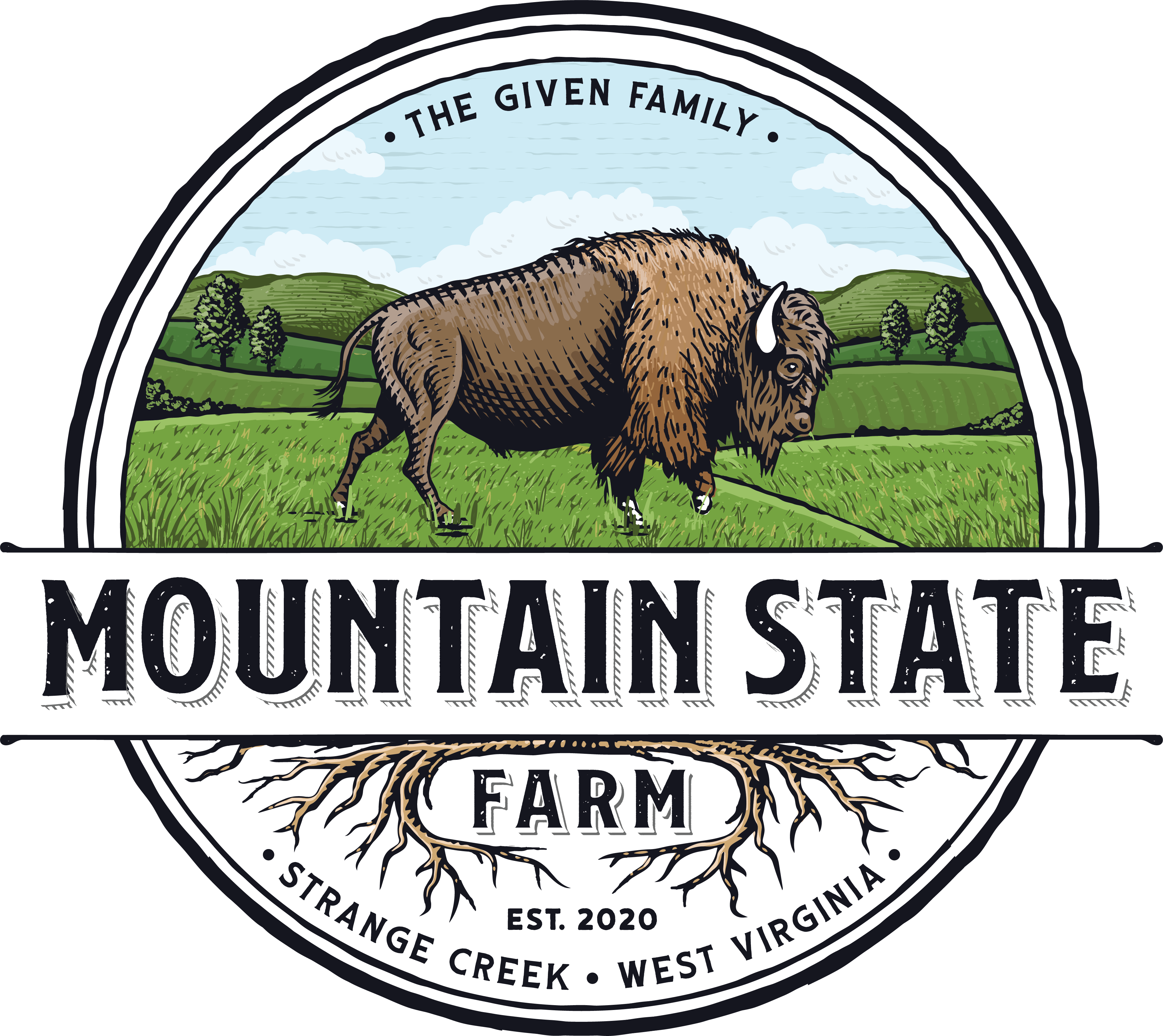 Bison | 100% Grass Fed & Finished – Mountain State Farm