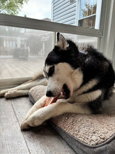 Load image into Gallery viewer, Bison - Dog Bones
