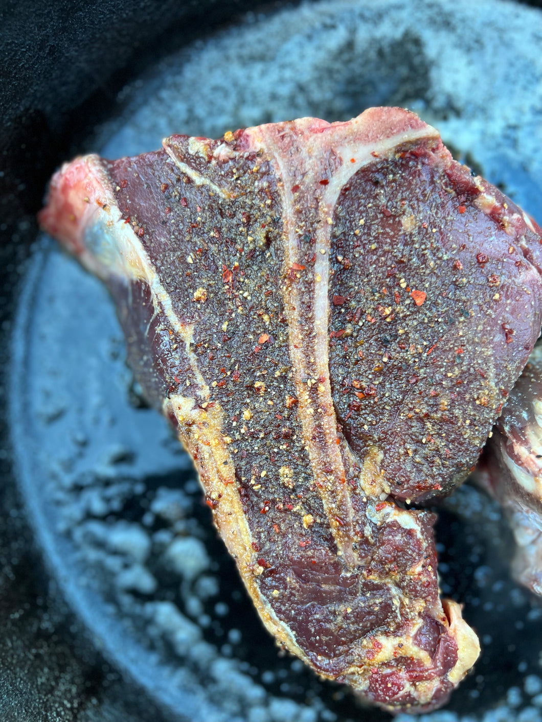 Bison - Loin T-Bone Steak